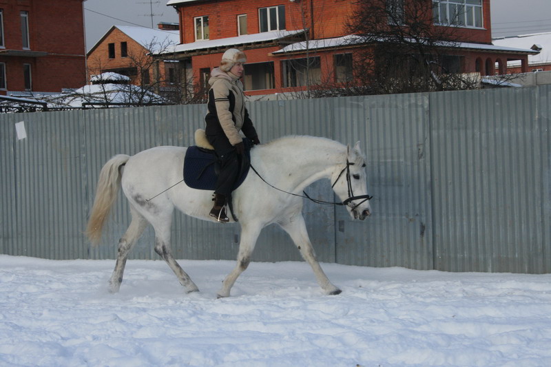 IMG_1692.jpg1.jpg"%20height="533"%20width="800